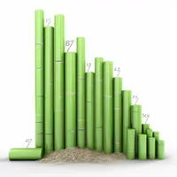 EFF Magazine | Wissenschaftler decken unerlaubte Emissionen aus China bei globalem Ozongipfel auf